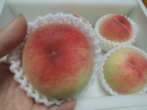 桃　ふるさと納税