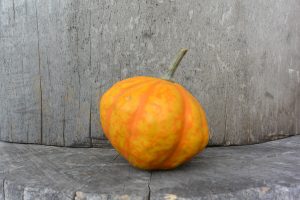 ハロィンカボチャ