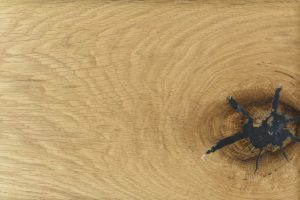 挽き板フローリング