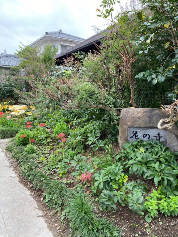 花の寺　円照寺
